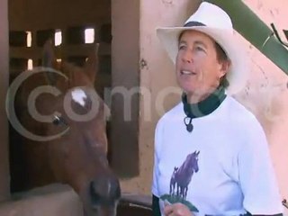 Miami Dade Narha PTSD Horse Therapy Dr Faubel