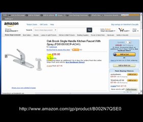Oak Brook Single Handle Kitchen Faucet With Spray