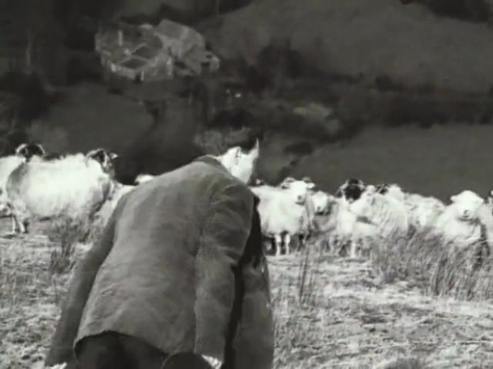 Perry Rose Why Should I Worry