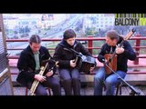 FLYING DRUIDS (BalconyTV)