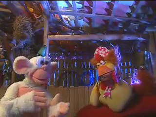 Macaco comendo amendoim