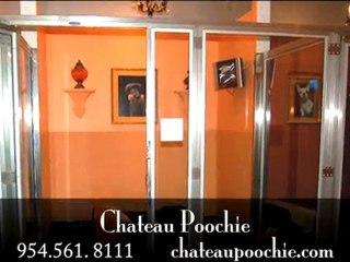 Boca Executive Reality Barry Levinson