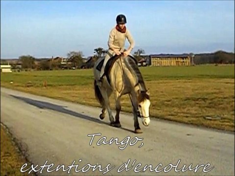 Extensions d'encolure