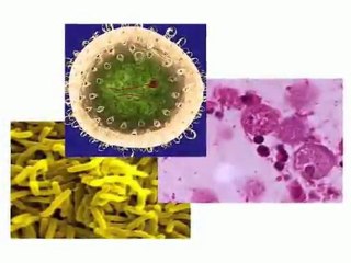 Generador Atmosferico de Agua