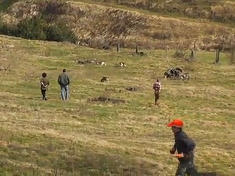 Brevet de chasse sur lievre chez les LALANDES en AVEYRON Me et Mr LARINIER 4eme partie