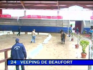 veeping de beaufort