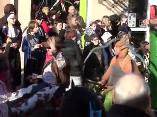 2012 - Vias - Carnaval (après-midi1