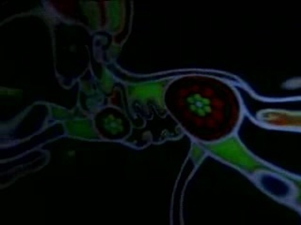 ANTARIS X          (2004)