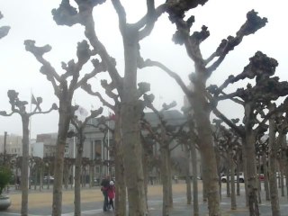 SAN FRANCISCO-HY_2011 004