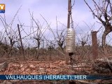 La sécheresse provoque déjà des incendies dans le Sud de la France