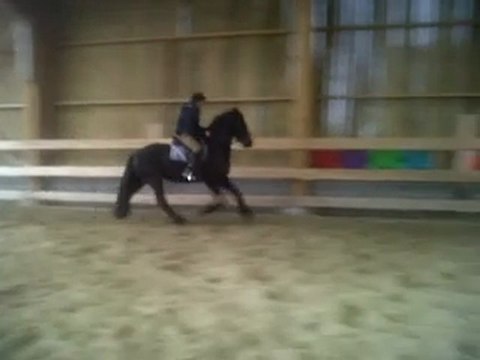 burd sur la piste suite a la longe(débourrage)