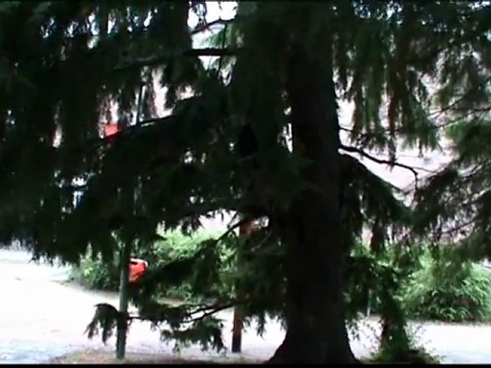 Vechtsport Winschoten: Klimmen en Koga Ryu Ninjitsu, Sensei Titus Jansen