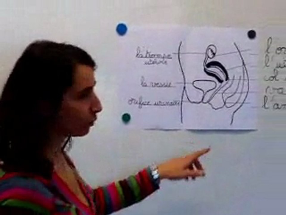 sciences cycle 3 reproduction humaine fc-rh-s2-e2-2