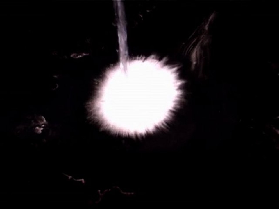 FORT INTERIEUR #Extrait