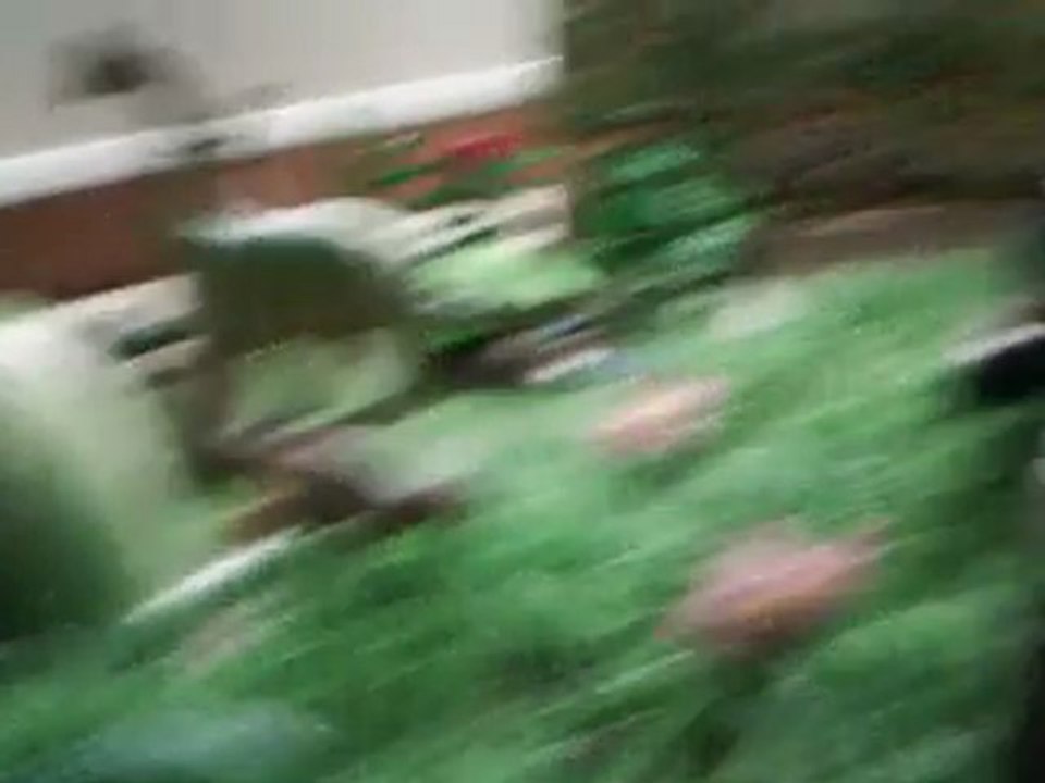 jurassique park 2 partie 4