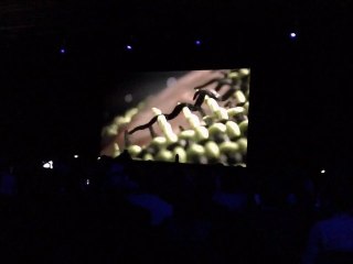 Freddos @NY (Part 2)