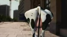 Crazy Cow - I Like To Muh