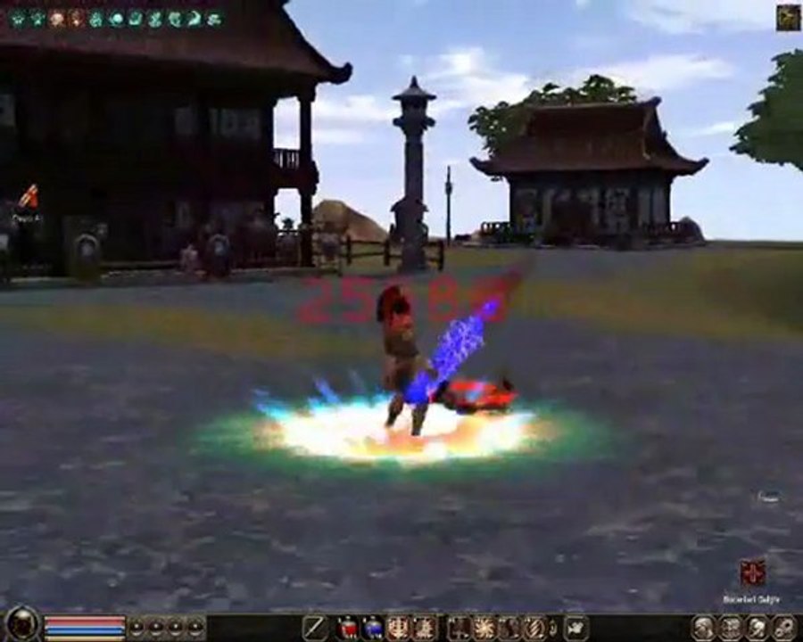 metin2 Skill Show