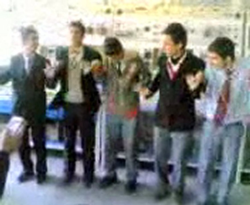 2007_halay