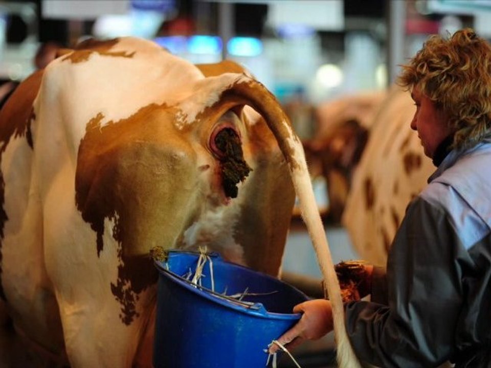 SIA 2012 : Quiétude au salon