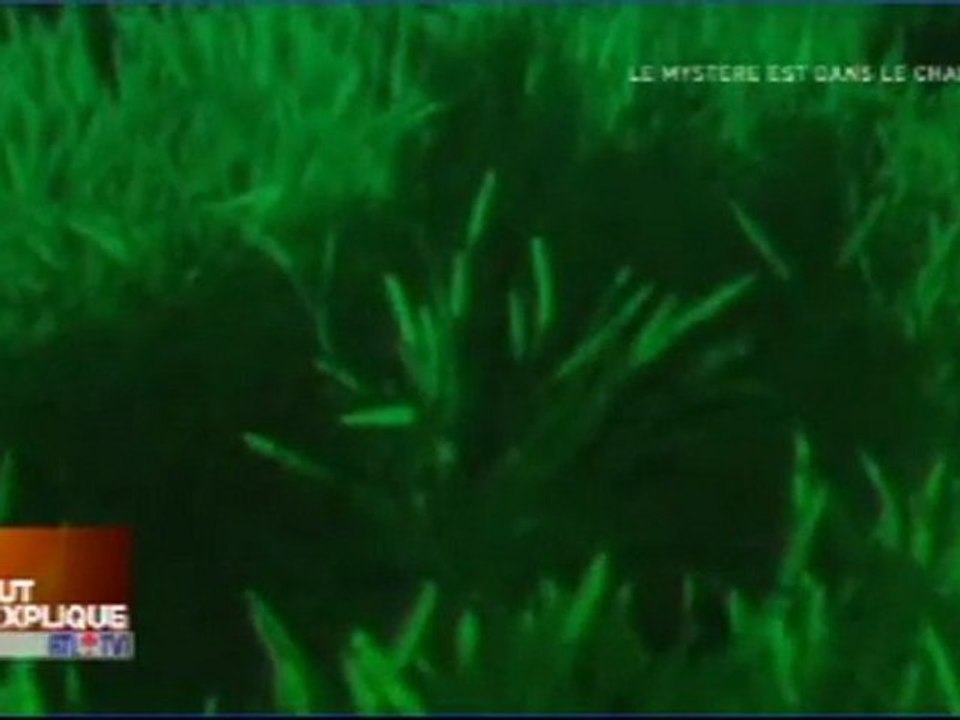 crop circle