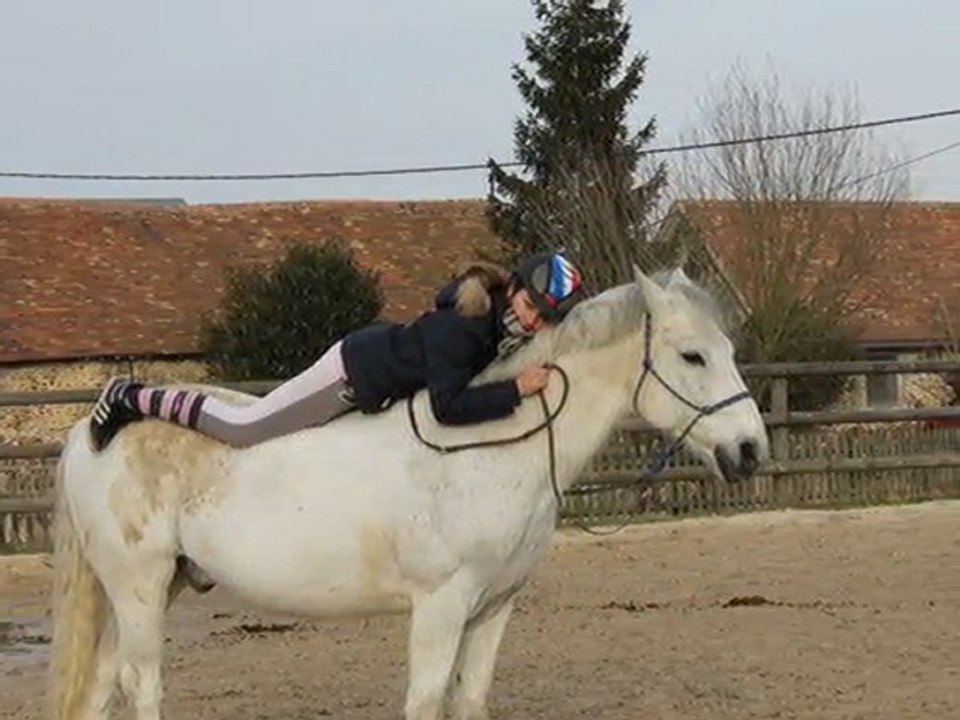 Jelsinki un poney au coeur énorme, un poney dont j'ai rêvée chaque heure ...