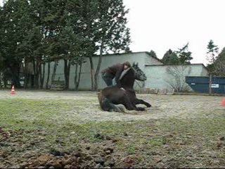 02.12 jeu amitie extreme