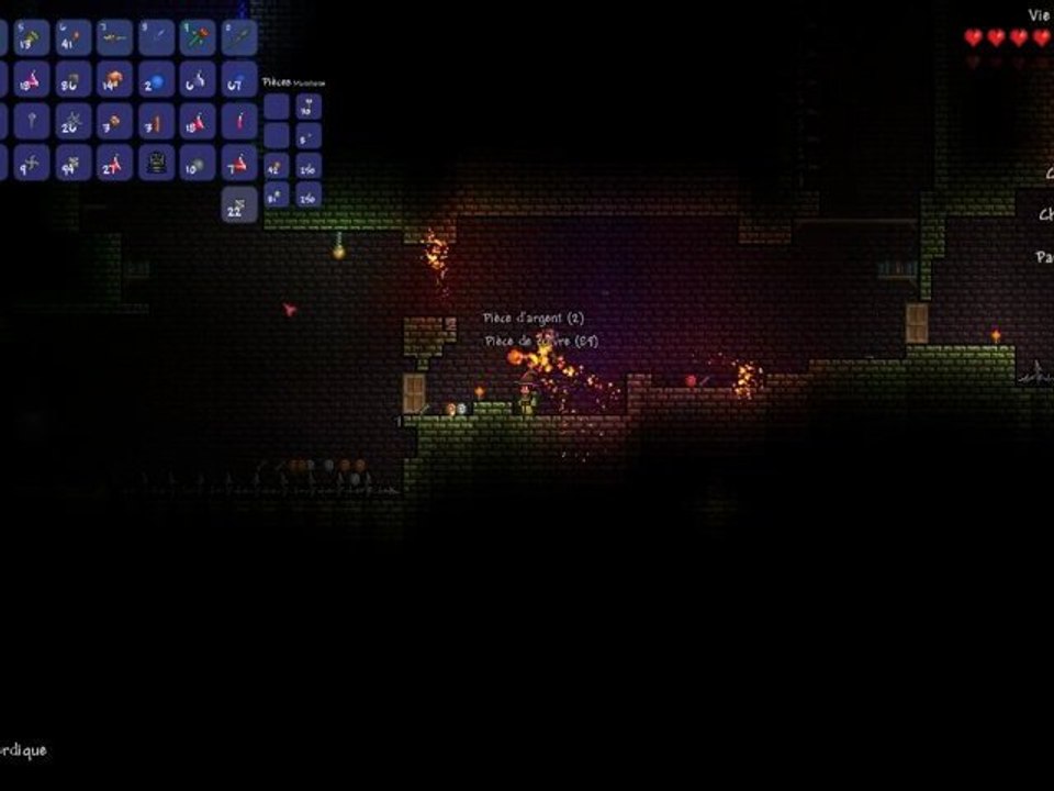 Terraria : Donjon trololol