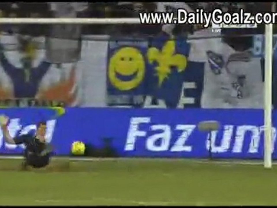 www.dailygoalz.com - Vedad Ibisevic Goal Brazil vs Bosnia