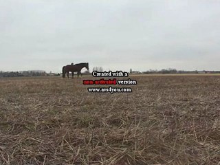 Petite séance défoulage champs