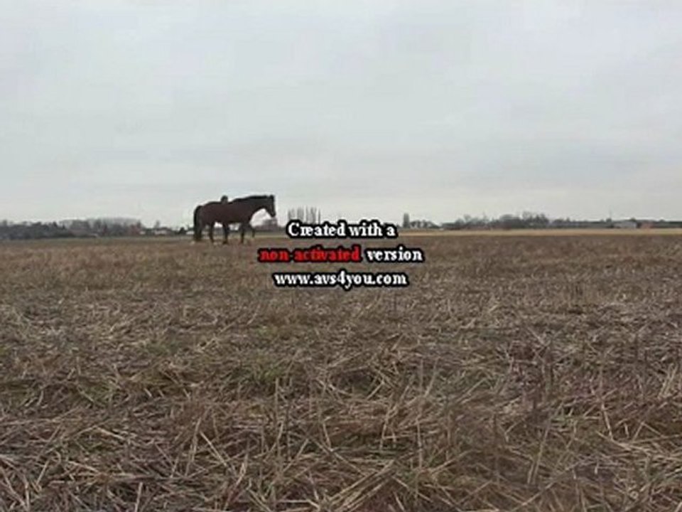 Petite séance défoulage champs