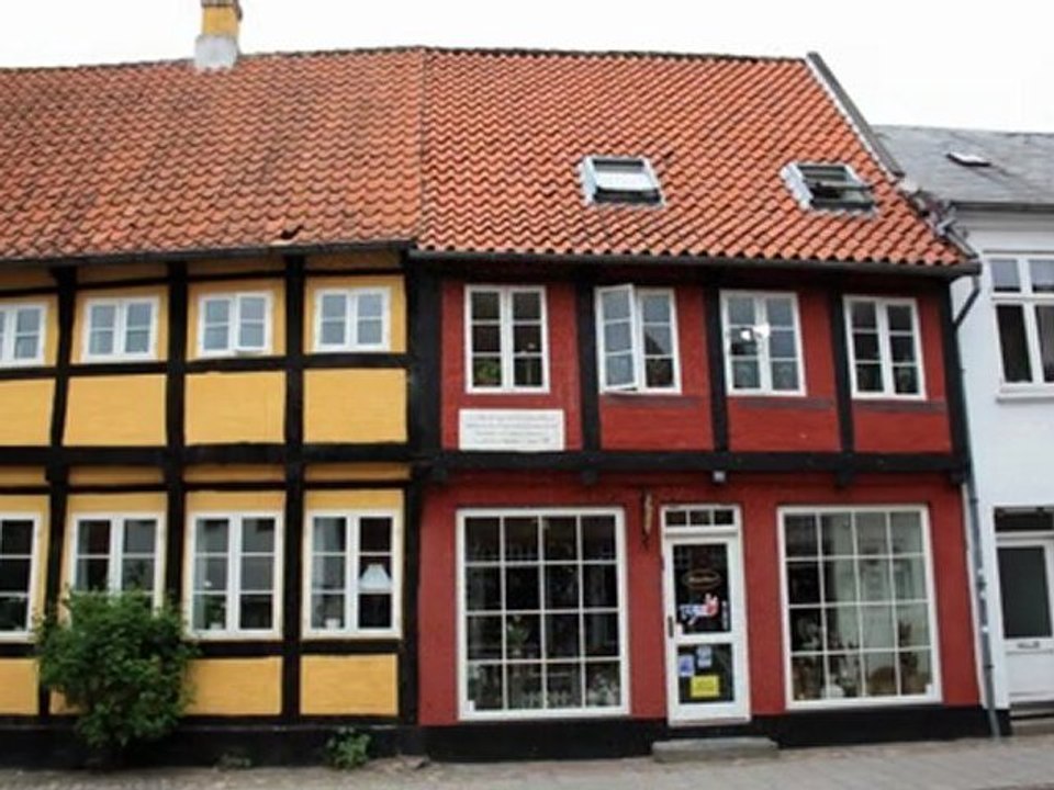 60- ribe - copie