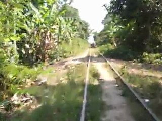 Bamboo train
