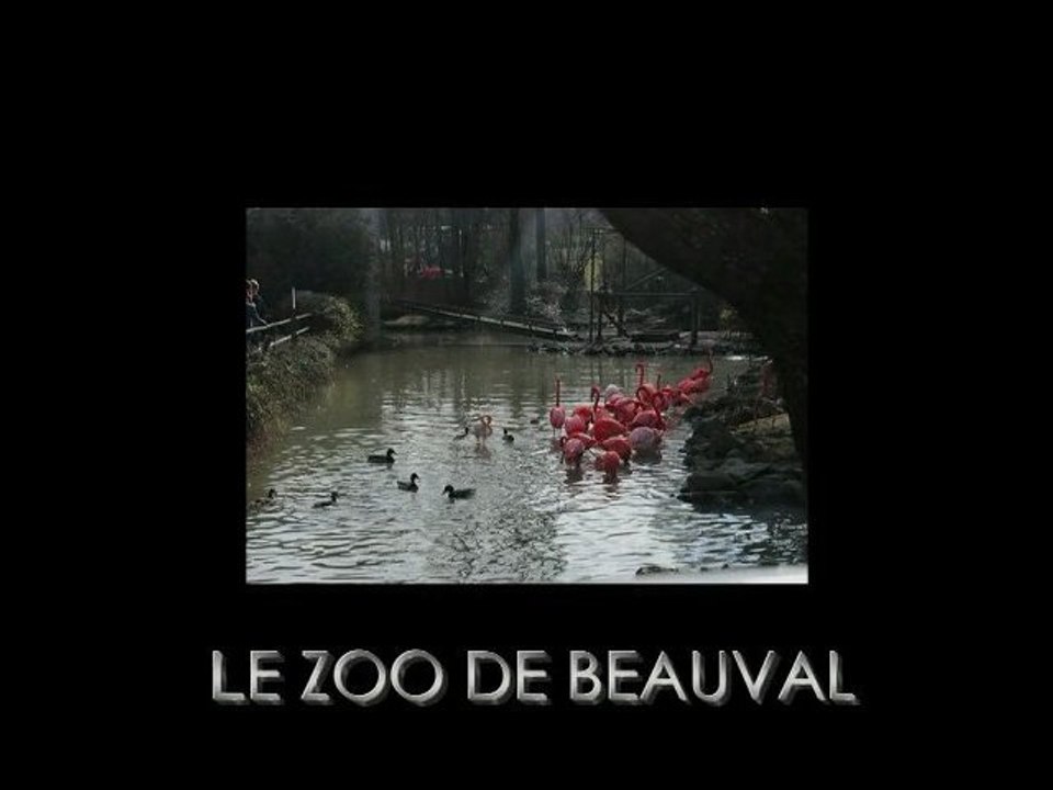 LE ZOO DE BEAUVAL