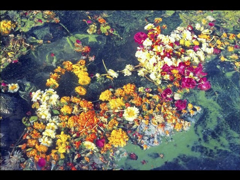 Eau du nord, eau du sud ? Images henri Kartmann, Sons Brice Kartmann