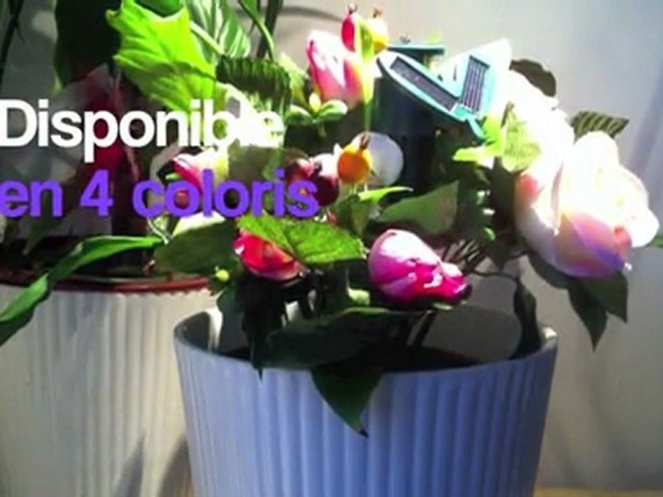 Décoration Papillon tournant comme un vrai papillon - eZYboutique.com