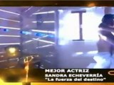 Sandra Echeverria gana el premio de Mejor Actriz en los TVyNovelas 2012