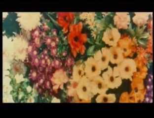 忍者キャプター OP