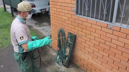 Pest Control Archerfield Amalgamated Pest Control QLD