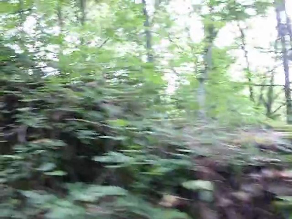Km 88,5