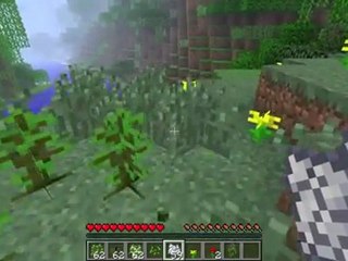 Minecraft 1.2.3 Hack - Pirater | FREE Download (2016)