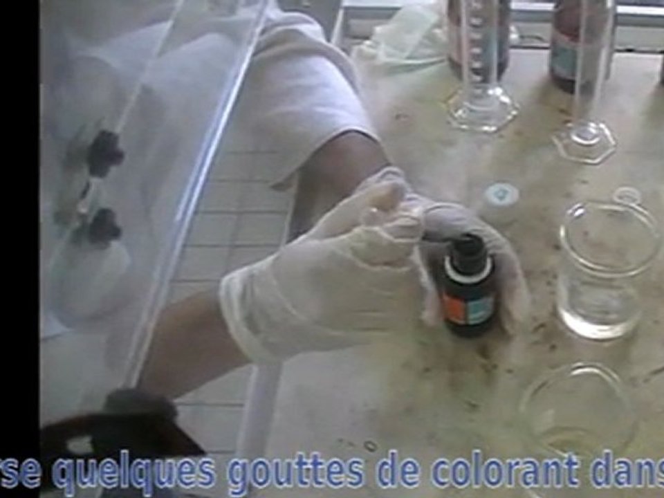 Synthèse du nylon. 1ère S1. Lycée Pierre Poivre. TPE