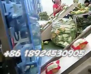 mexico grain packaging machine
