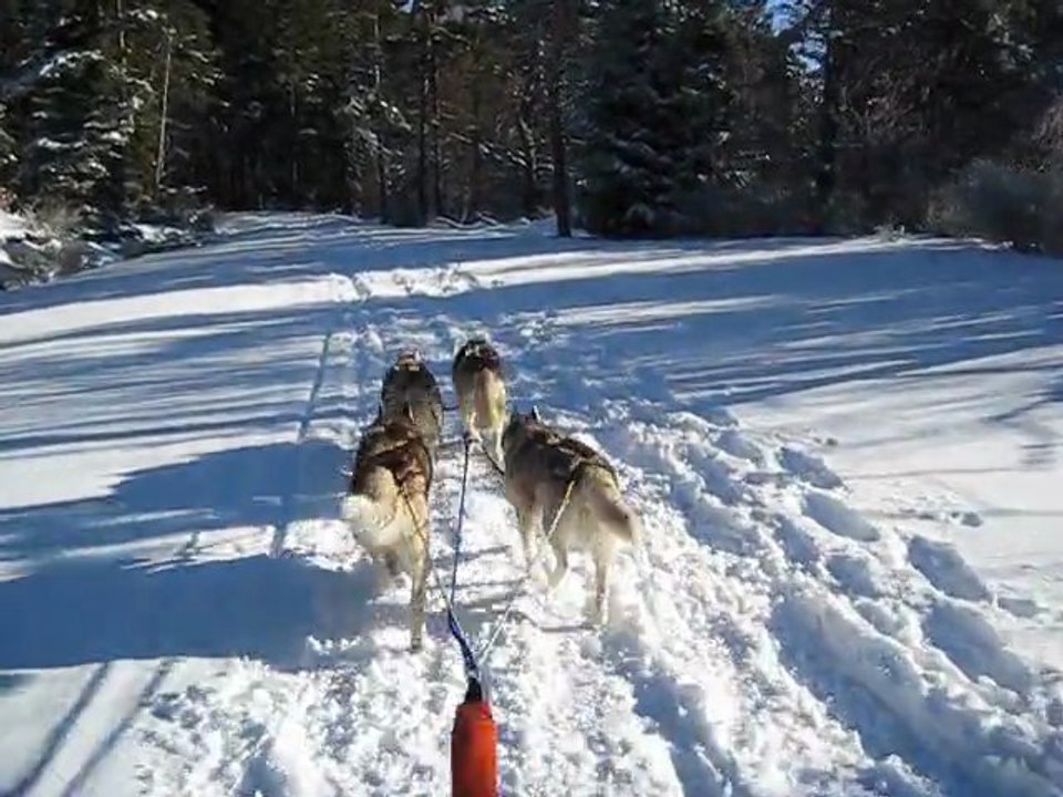 Balade Nordique dans le Forez