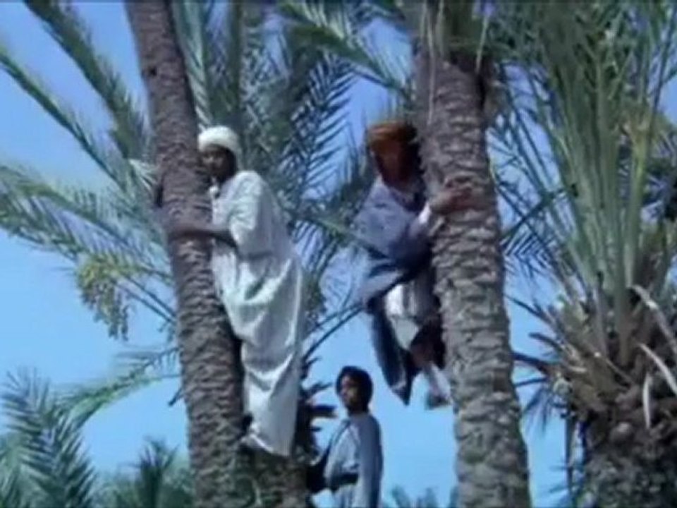 ŞİMDİ VUSLAT VAKTİ