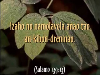 Anaka - Malagasy Father's Love Letter