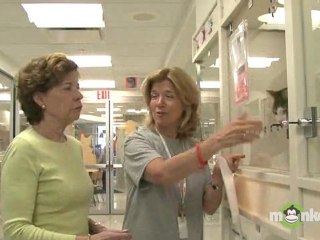 Shelter Cat Adoption Secrets