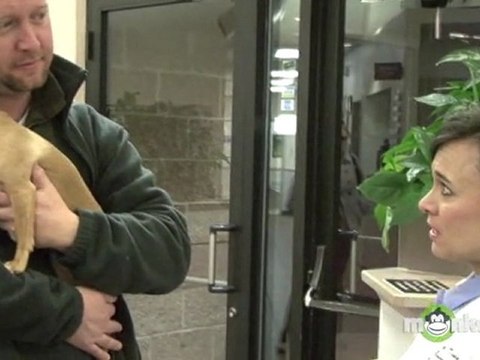 How to Have your Pet Spayed or Neutered