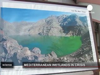 Campaigners bid to save Mediterranean wetlands
