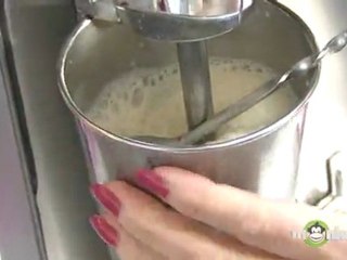 How to Make Shakes, Malts and Freezes